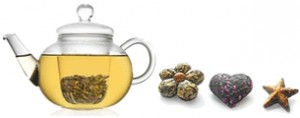 magellan-Tee-bremen-magellan-geschenk